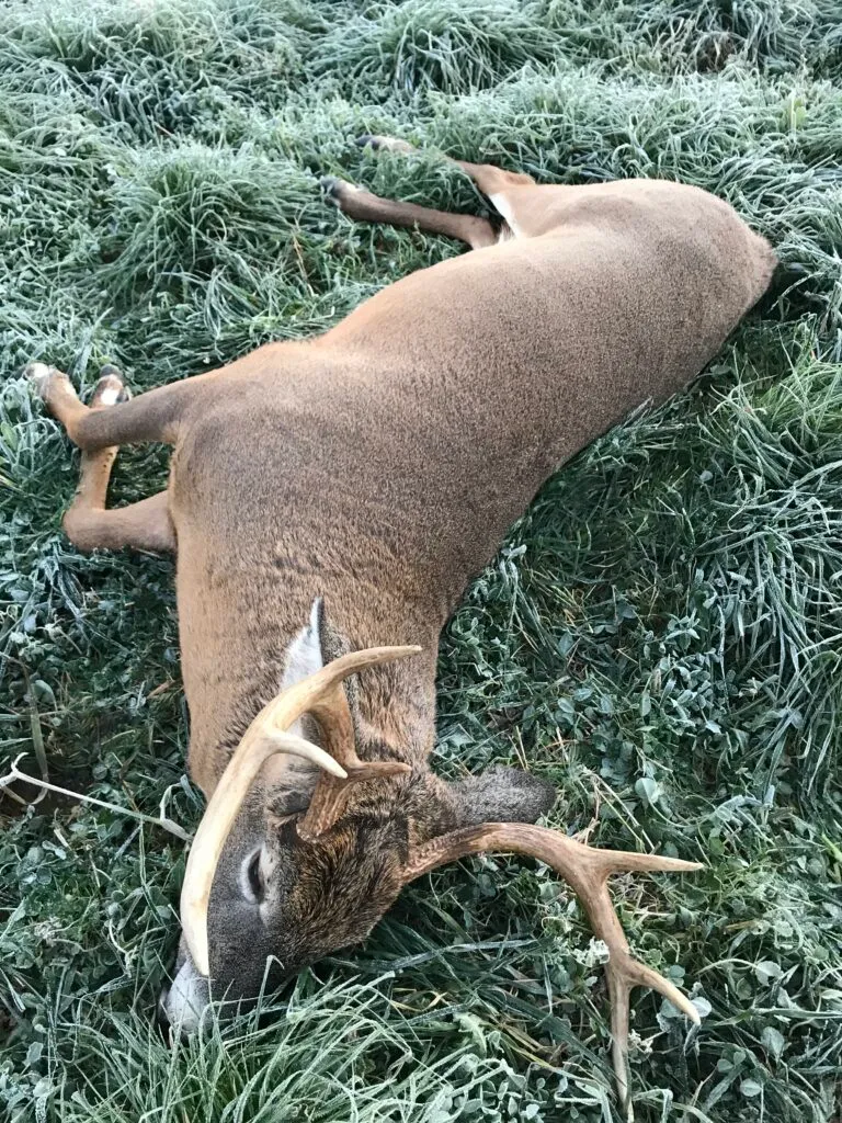 Home img 3817 768x1024 11zon